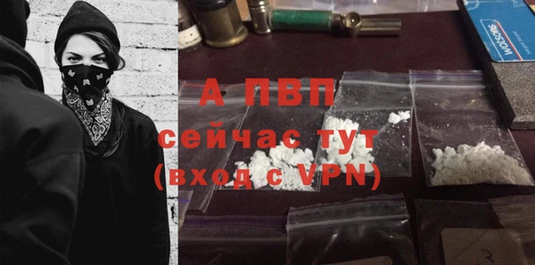 прущий лед Козельск