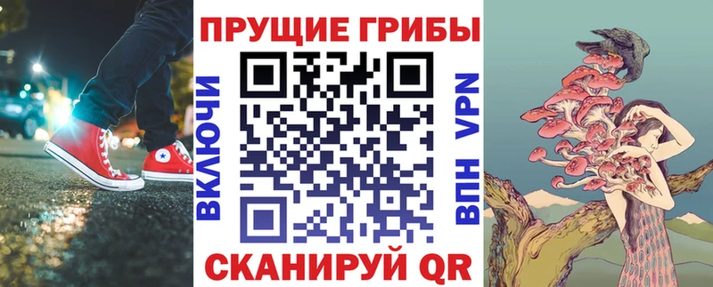 цены нарко площадка формула Псилоцибиновые грибы мицелий Нефтекумск