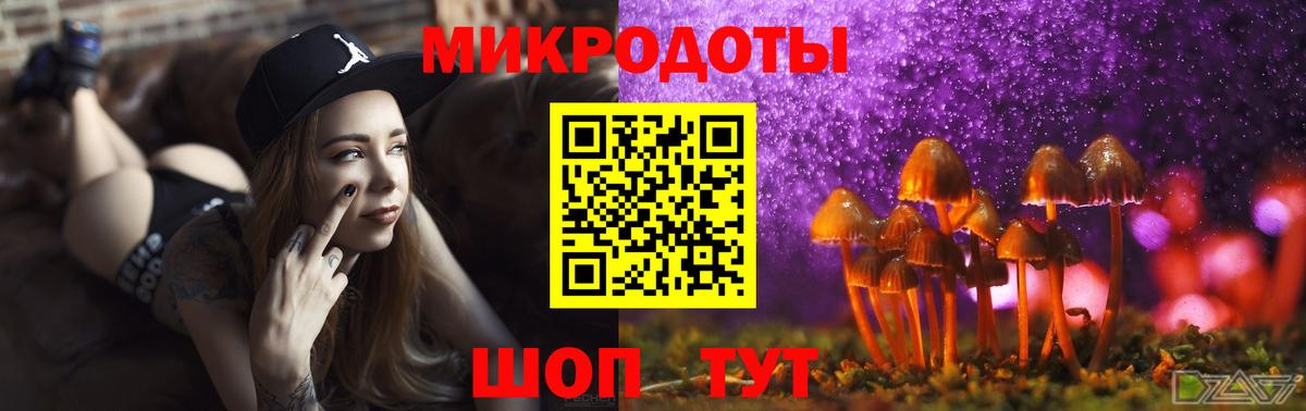 Галлюциногенные грибы GOLDEN TEACHER Нефтекумск
